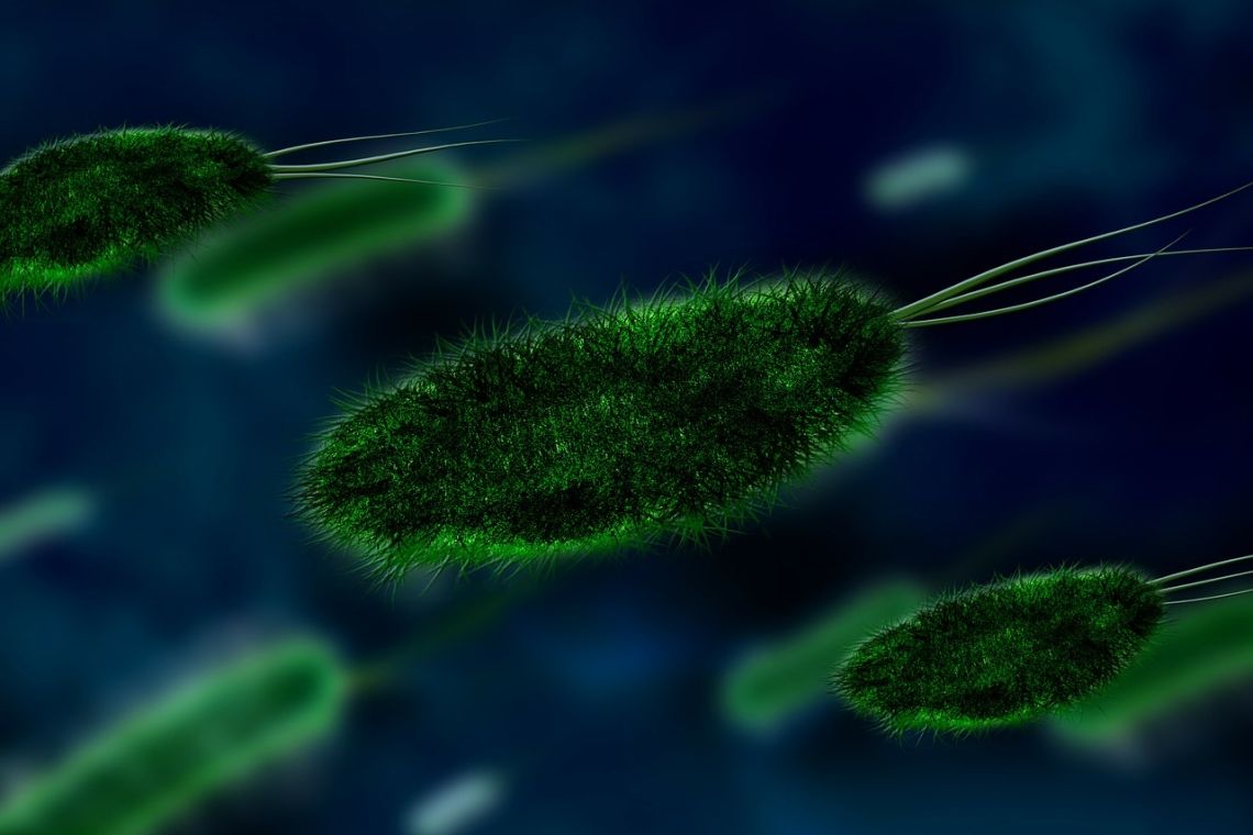 Exploziv: Covid, 1 din 6 decedați a contractat infecții bacteriene &icirc;n spital! Mulți dintre acești pacienți au murit de sepsis, nu de Covid!