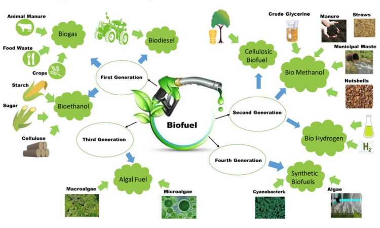 biofuel_medium TEHNOLOGIE
