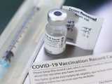 BOOM COVID: studiile investighează acum afectarea creierului și ADN-ului &icirc;n urma vaccinărilor!