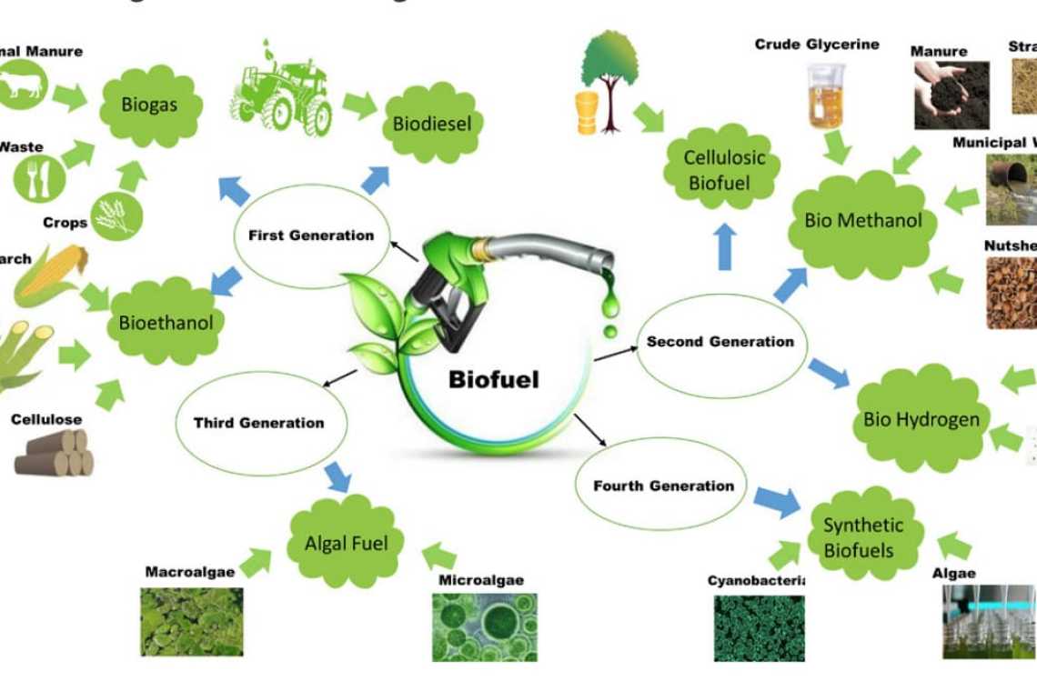 Sarpom &icirc;ncepe producția unui nou biocombustibil care reduce emisiile de CO2 cu 90%!