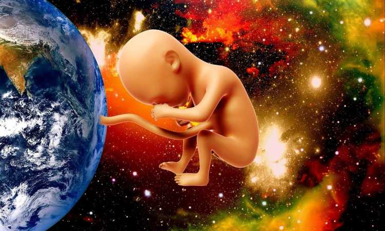 embrioni-umani_medium Sănătate