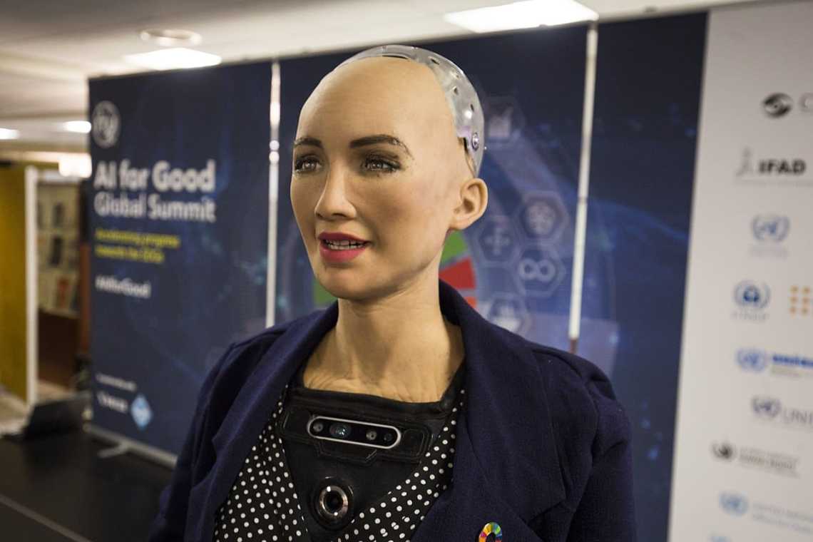 BOOM: &bdquo;Noi, roboții, vom guverna mai bine dec&acirc;t voi, umanii&rdquo;!