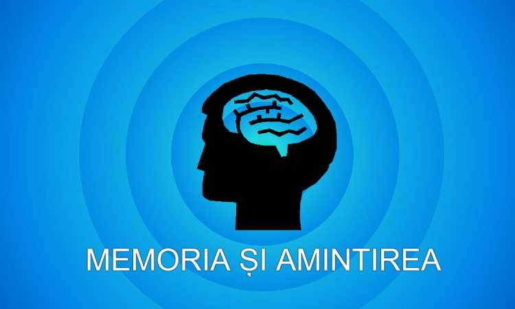 MEMORIA-AMINTIREA_medium CULTURĂ ȘI EDUCAȚIE