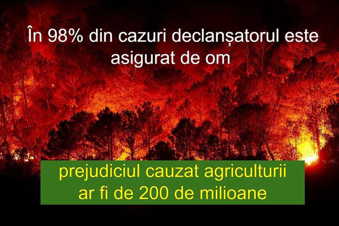 italia-incendii_large Știri Externe