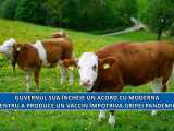 Guvernul SUA &icirc;ncheie un acord cu Moderna pentru a produce un vaccin &icirc;mpotriva gripei pandemice